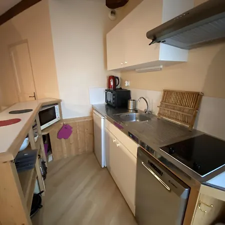 Avec Wifi A 70m Des Thermes - Animaux Admis - Fr-1-541-142 Apartmán La Roche-Posay