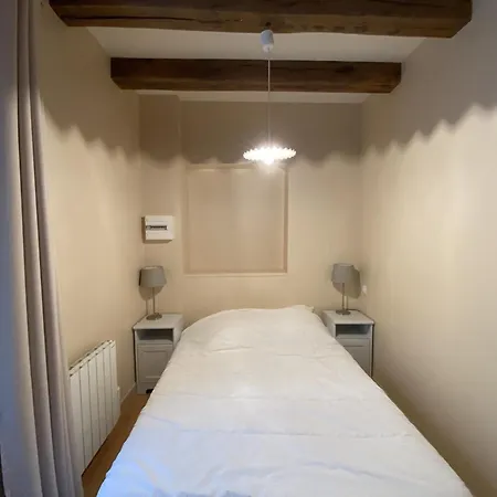 Avec Wifi A 70m Des Thermes - Animaux Admis - Fr-1-541-142 La Roche-Posay