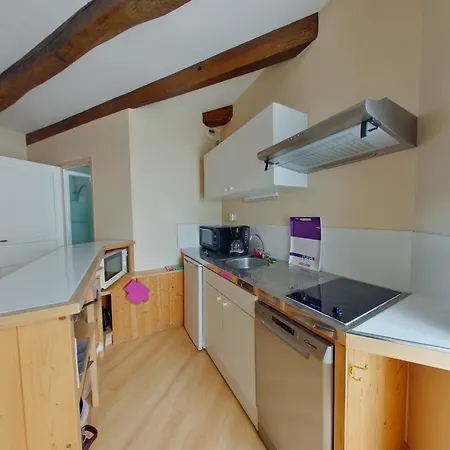 Avec Wifi à 70m Des Thermes - Animaux Admis - Fr-1-541-142 Apartamento La Roche-Posay