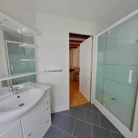 Apartamento Avec Wifi à 70m Des Thermes - Animaux Admis - Fr-1-541-142 *