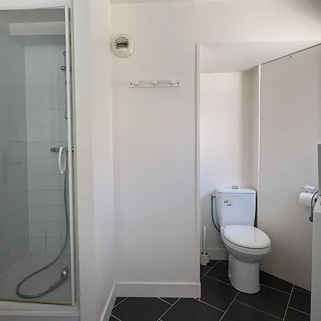 Avec Wifi A 70m Des Thermes - Animaux Admis - Fr-1-541-142 لاروش بوزيه