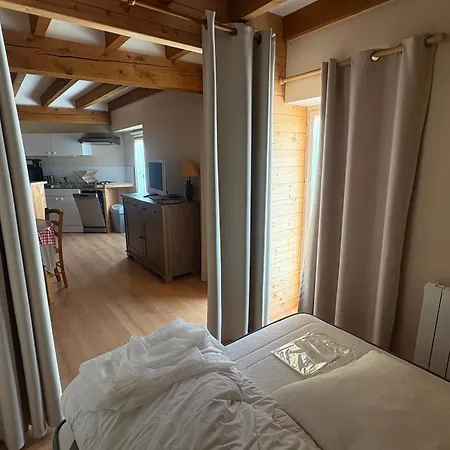 Avec Wifi A 70m Des Thermes - Animaux Admis - Fr-1-541-142 شقة