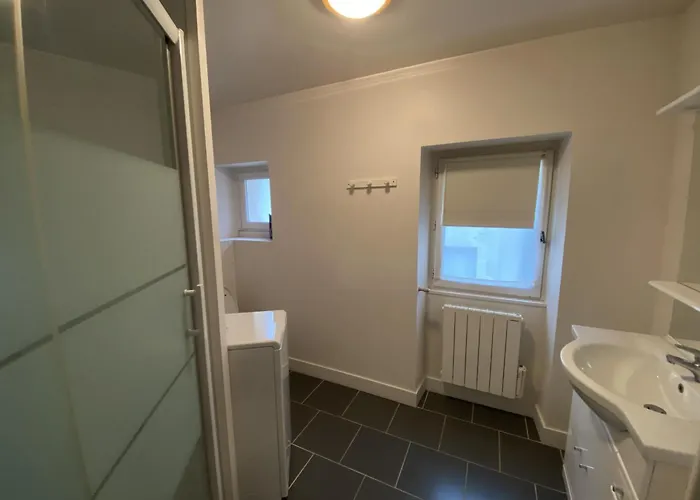 Apartamento Avec Wifi à 70m Des Thermes - Animaux Admis - Fr-1-541-142