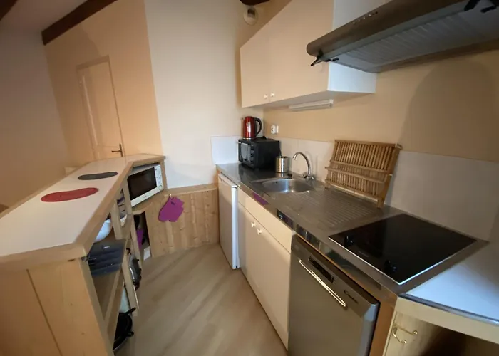 Avec Wifi à 70m Des Thermes - Animaux Admis - Fr-1-541-142 Apartamento La Roche-Posay