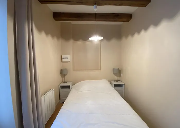 Avec Wifi à 70m Des Thermes - Animaux Admis - Fr-1-541-142 La Roche-Posay