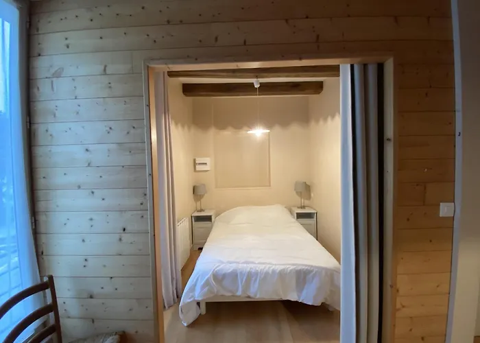 Avec Wifi à 70m Des Thermes - Animaux Admis - Fr-1-541-142 Apartamento La Roche-Posay