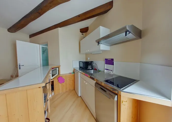 Avec Wifi à 70m Des Thermes - Animaux Admis - Fr-1-541-142 Apartamento La Roche-Posay