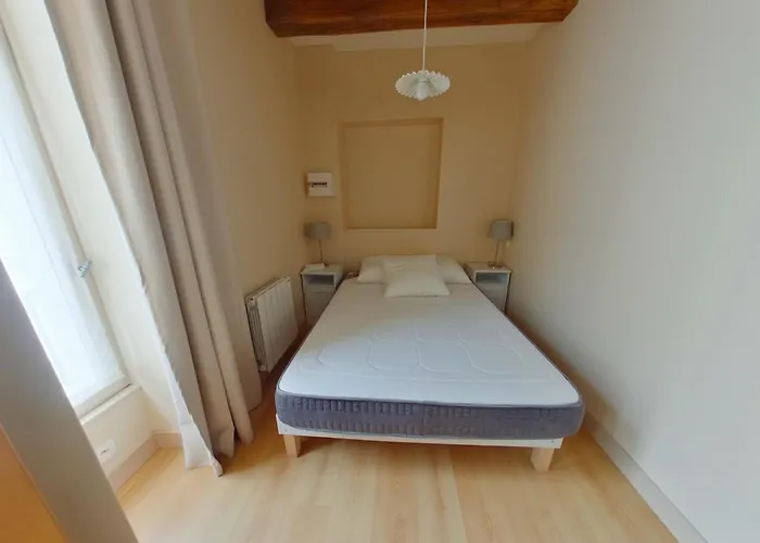 Avec Wifi à 70m Des Thermes - Animaux Admis - Fr-1-541-142 Apartamento *