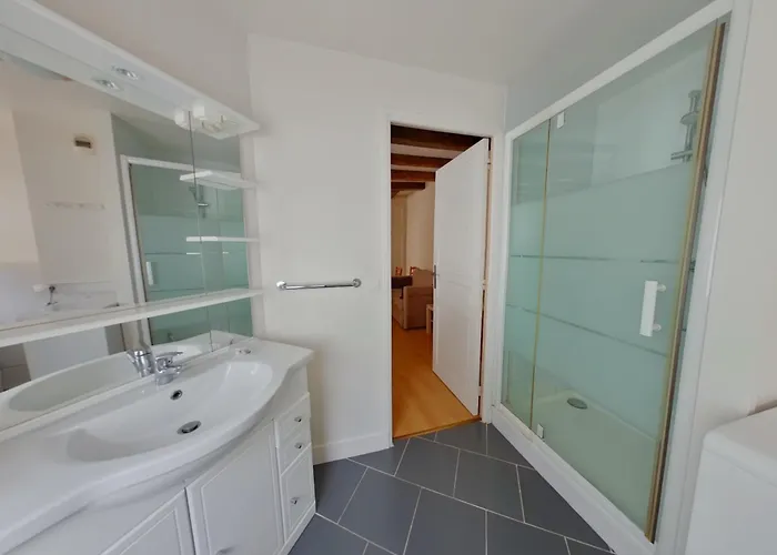 Apartamento Avec Wifi à 70m Des Thermes - Animaux Admis - Fr-1-541-142 *